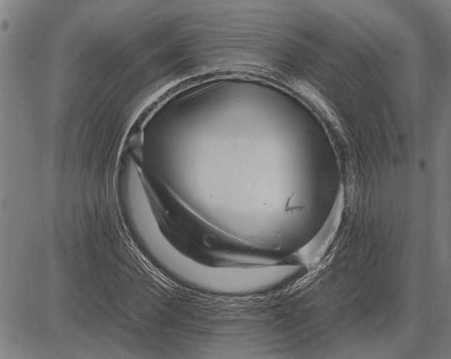 X0000081450924200702021738