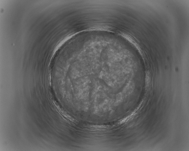 X0000081450925200702021738