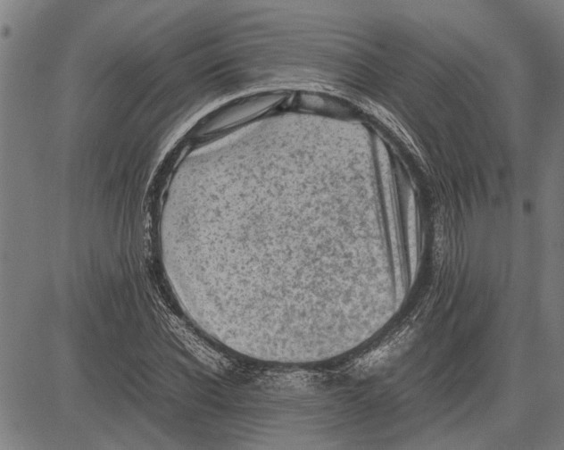 X0000081450926200702021738