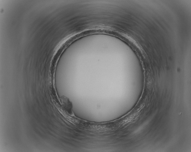 X0000081450927200702021738