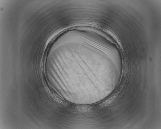 X0000081450928200702021738