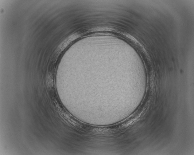 X0000081450929200702021738