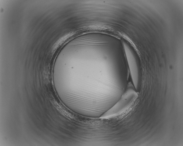 X0000081450930200702021738