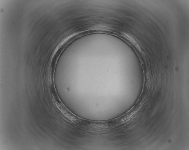 X0000081450931200702021738