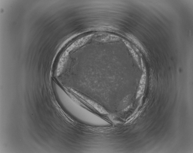 X0000081450932200702021738