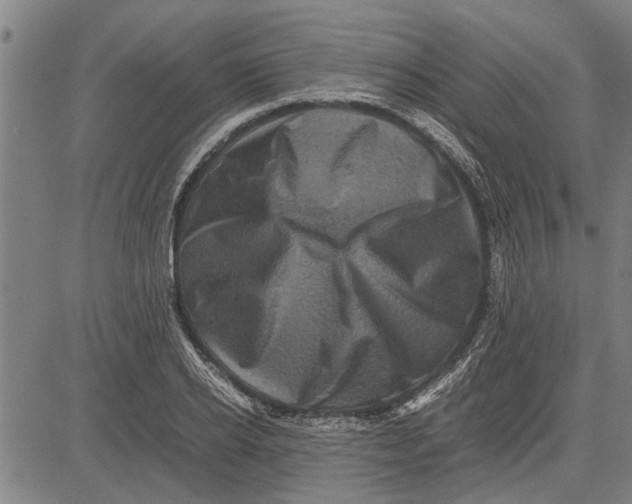 X0000081450934200702021739