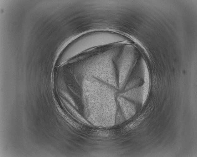 X0000081450935200702021739