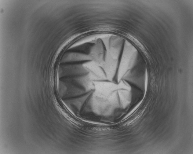 X0000081450939200702021739