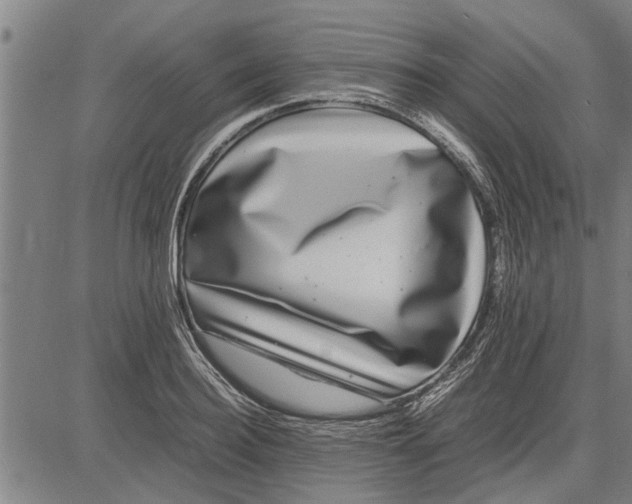 X0000081450940200702021739