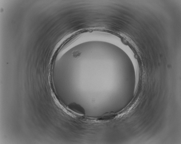 X0000081450941200702021739