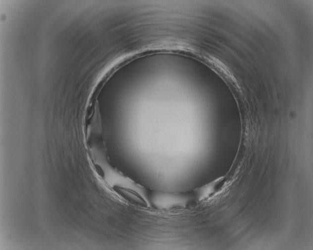 X0000081450942200702021739