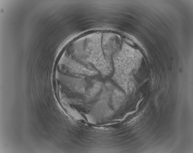 X0000081450943200702021739