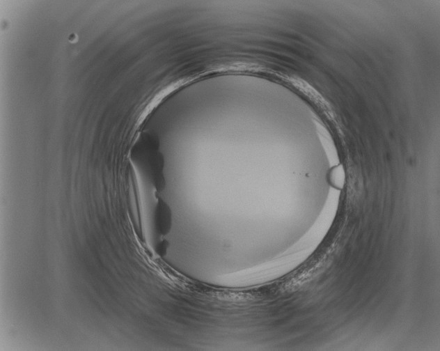 X0000081450945200702021739