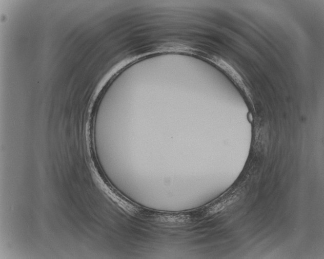 X0000081450947200702021739