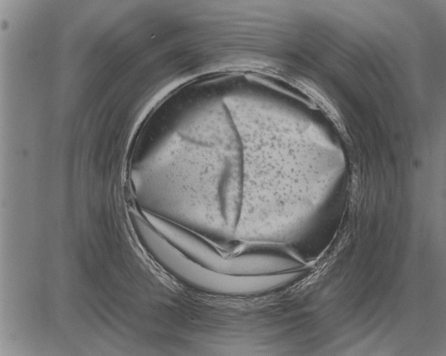 X0000081450948200702021739