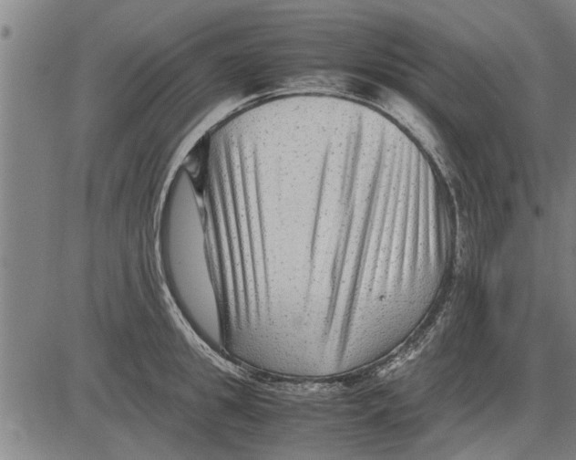 X0000081450949200702021739