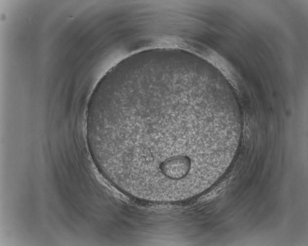 X0000081450950200702021739