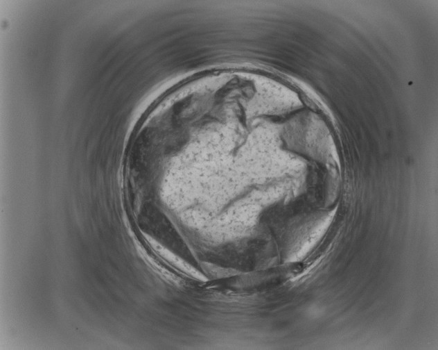 X0000081450951200702021739