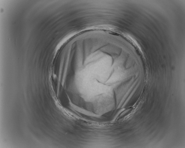 X0000081450952200702021739