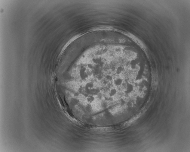 X0000081450953200702021739