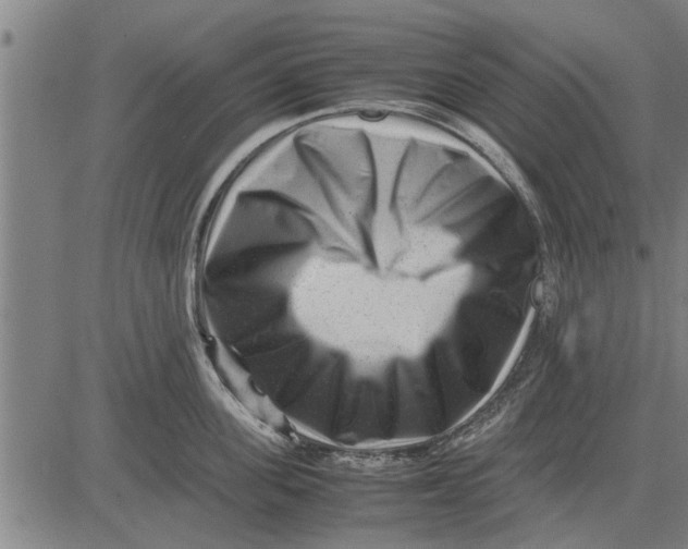 X0000081450955200702021739