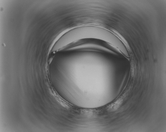 X0000081450956200702021739