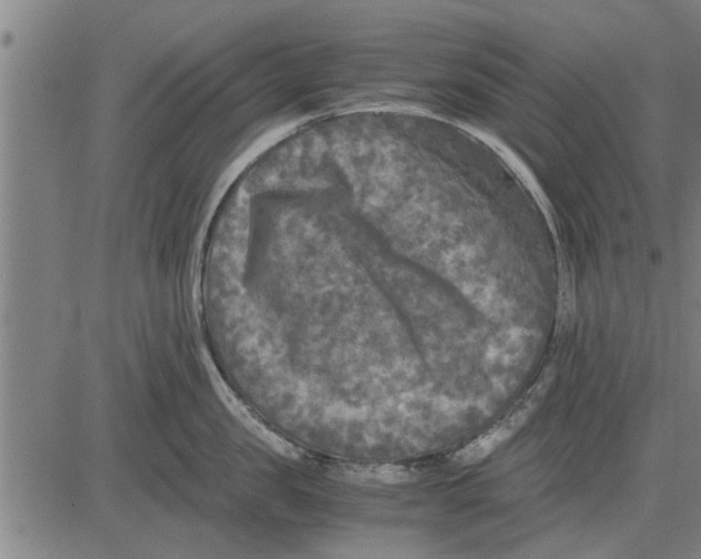 X0000081450957200702021739