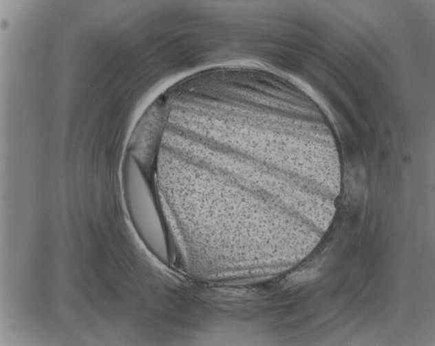 X0000081450959200702021739