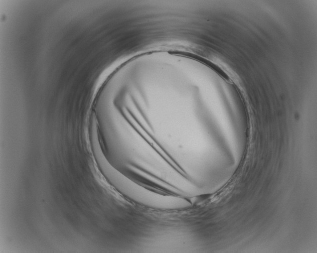 X0000081450960200702021739