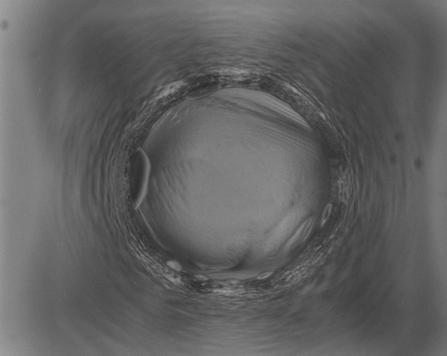 X0000081450961200702021738