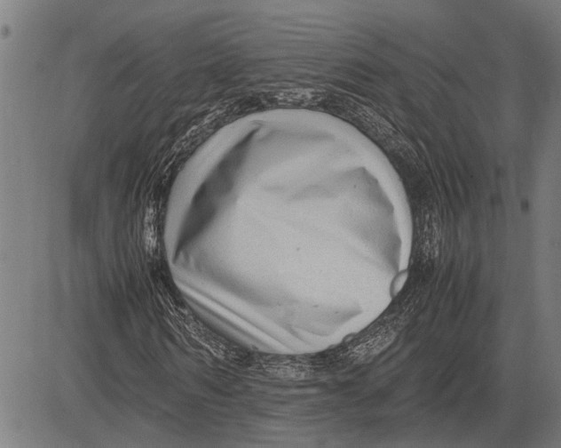 X0000081450962200702021738