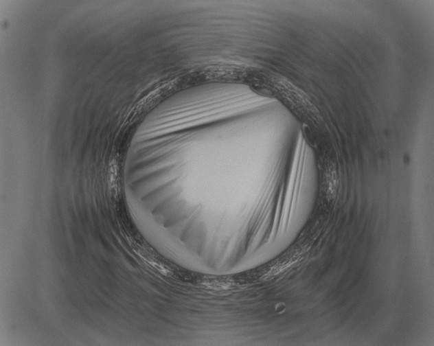 X0000081450964200702021738