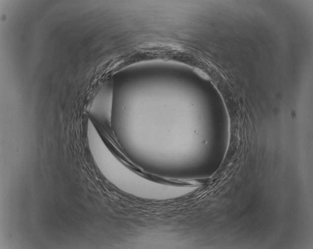 X0000081450965200702021738