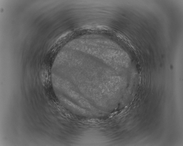 X0000081450966200702021738