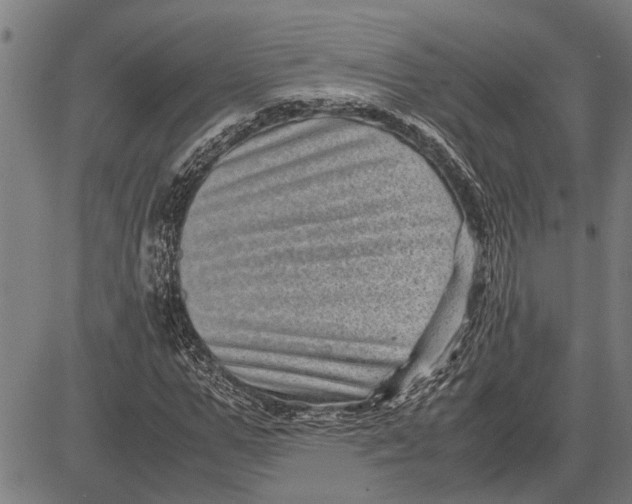 X0000081450967200702021738