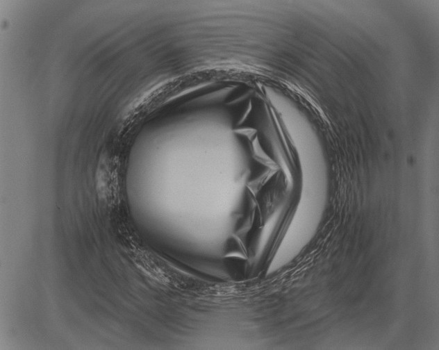 X0000081450968200702021738