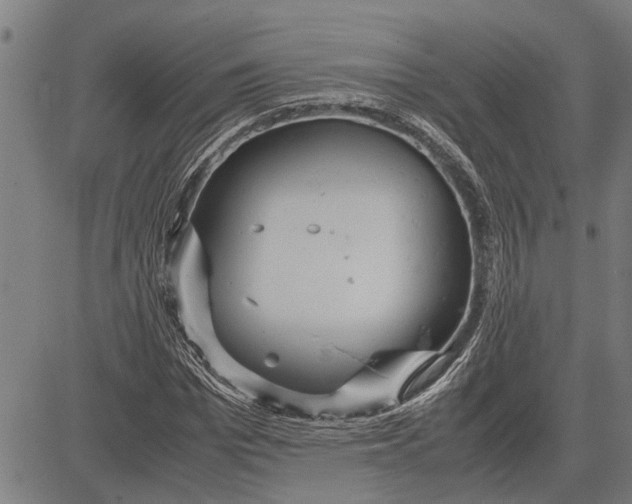 X0000081450969200702021738