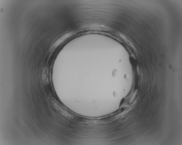 X0000081450970200702021738