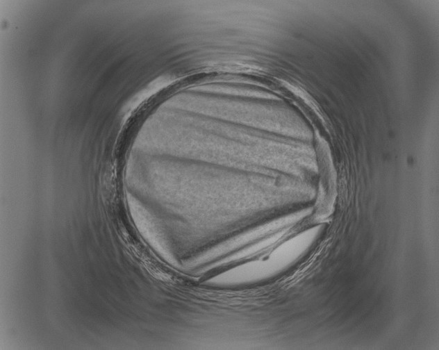 X0000081450971200702021738