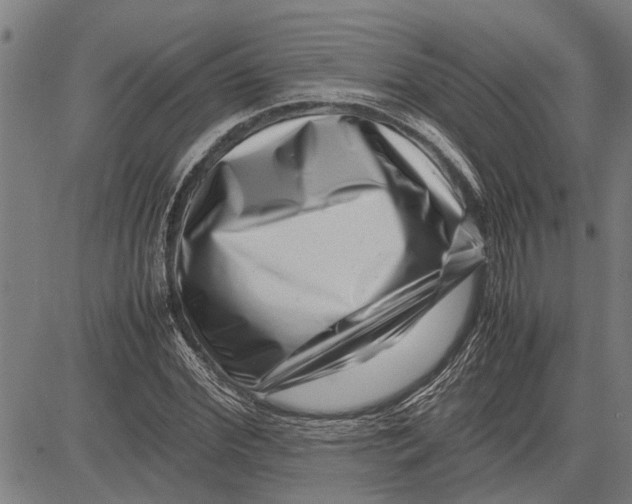 X0000081450972200702021738