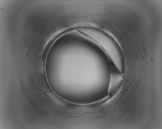 X0000081450973200702021738