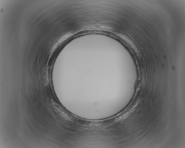 X0000081450974200702021738