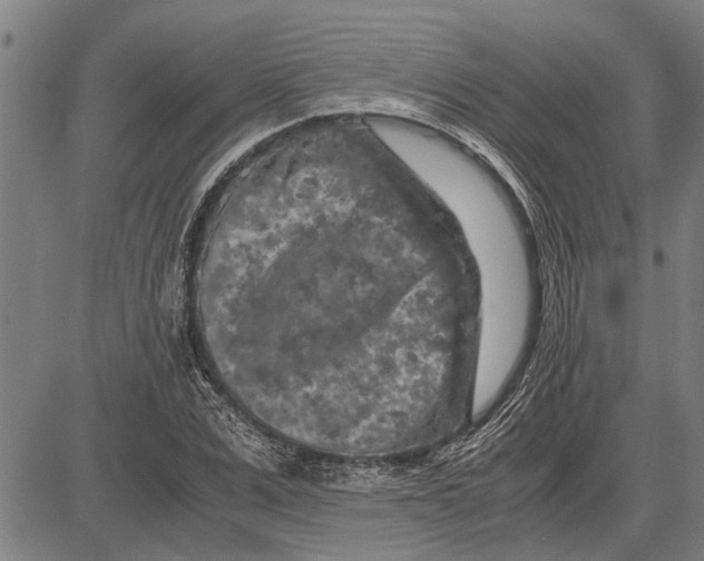 X0000081450975200702021738