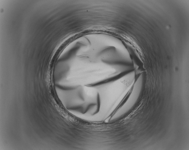 X0000081450976200702021738