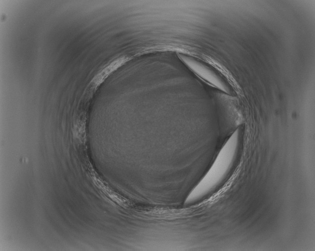 X0000081450977200702021738