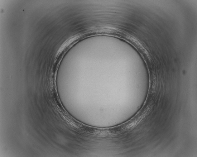 X0000081450978200702021738