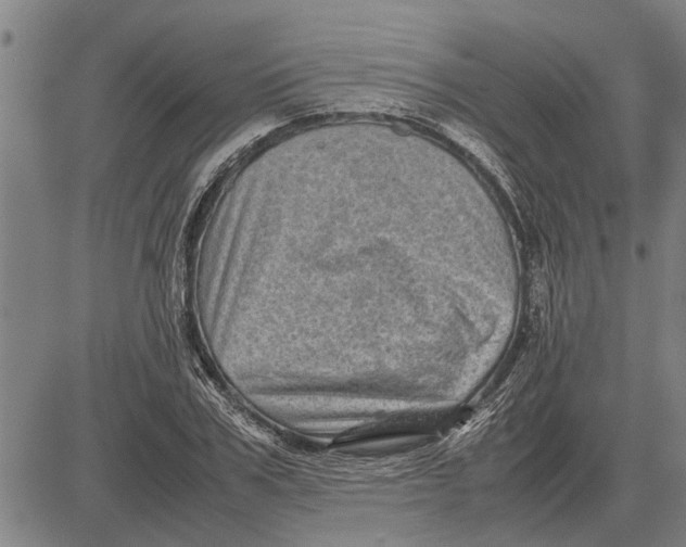 X0000081450979200702021738