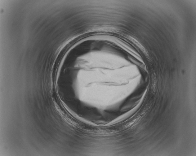 X0000081450980200702021738