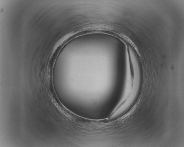 X0000081450981200702021738