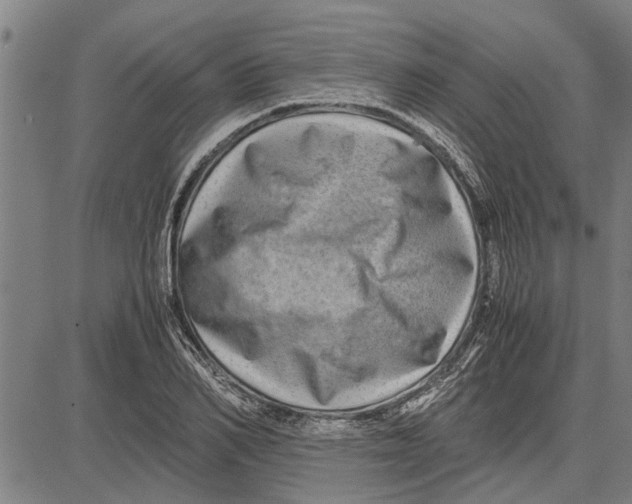 X0000081450982200702021738